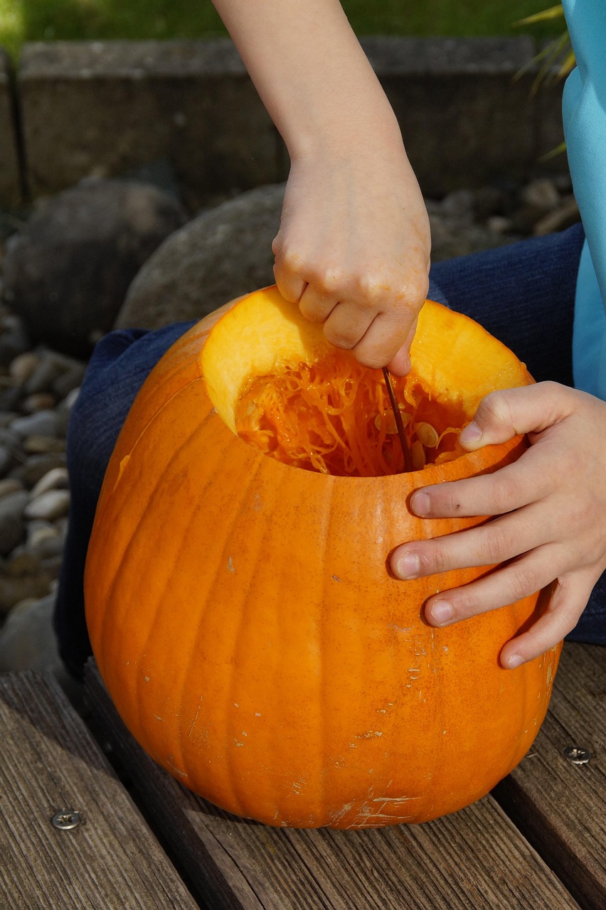 scrape off, scoop out, pumpkin, halloween, fall, orange, vegetables, hollow out, 31 october, lid, carving pumpkin, carve pumpkin ghost, halloweenkuerbis, pumpkin ghost, autumn decoration, diy pumpkin ghost, to carve, october, jack olantern, to empty, interior, inner, child, trick or treat