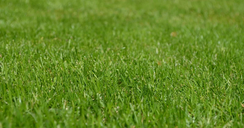 Le coût total de possession : ce que personne ne vous dit