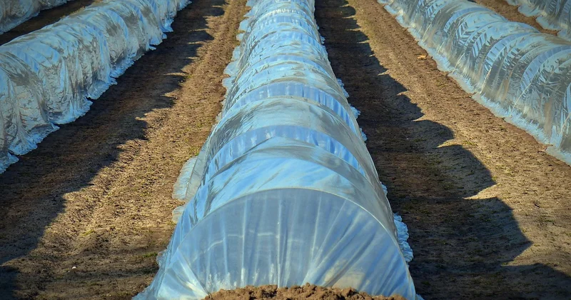 Bâche de protection pour le sol : une option particulière