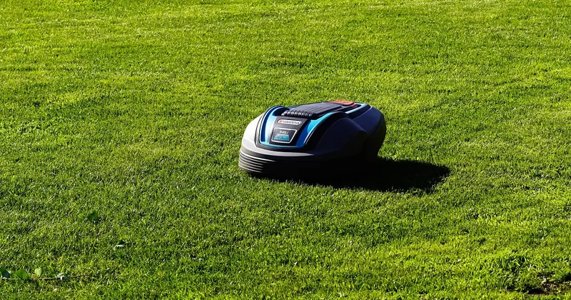 Les modèles Honda Miimo : quel modèle pour quelle surface ?