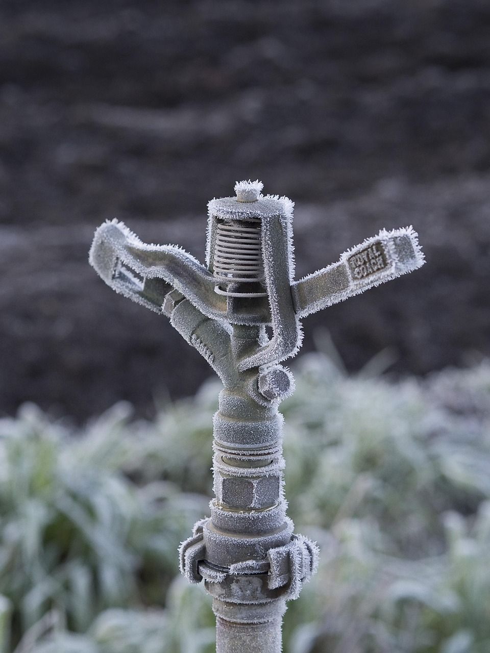 Comment installer un système d’arrosage automatique dans son jardin ?